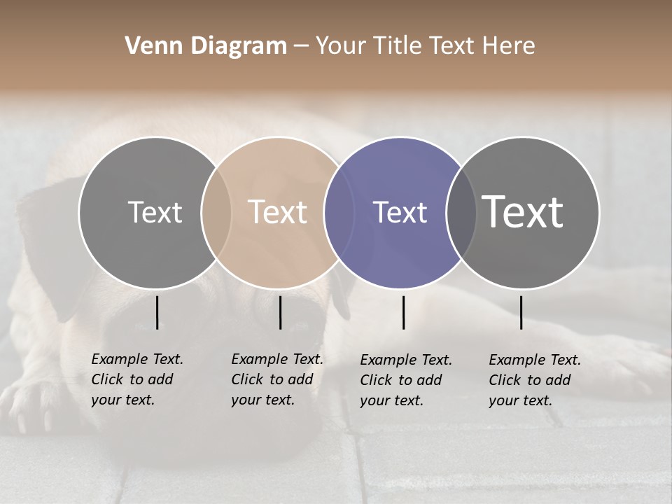 Domestic One Sitting PowerPoint Template
