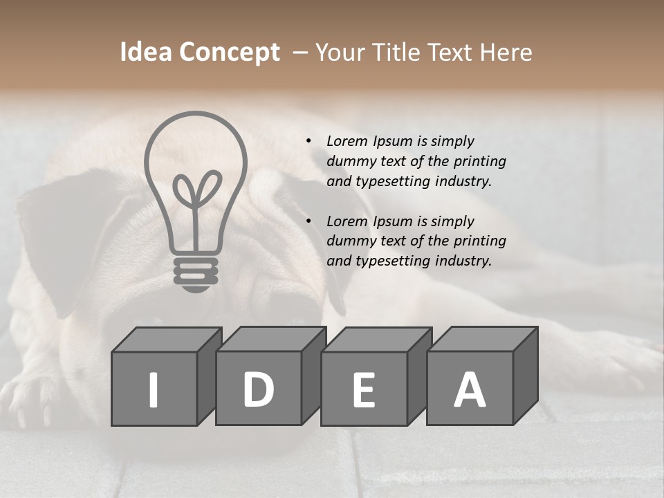 Domestic One Sitting PowerPoint Template