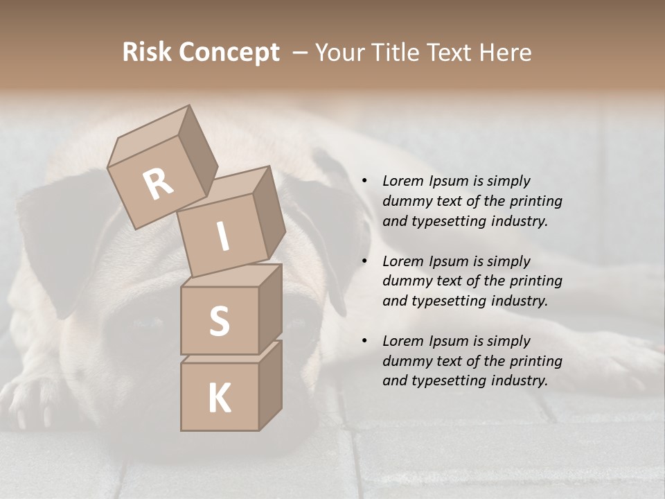 Domestic One Sitting PowerPoint Template