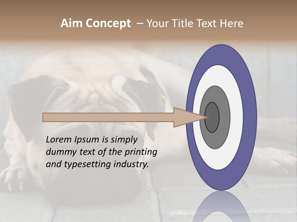 Domestic One Sitting PowerPoint Template