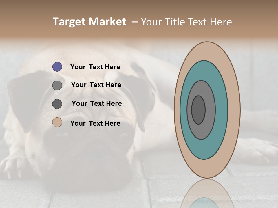 Domestic One Sitting PowerPoint Template