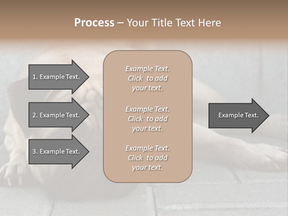 Domestic One Sitting PowerPoint Template