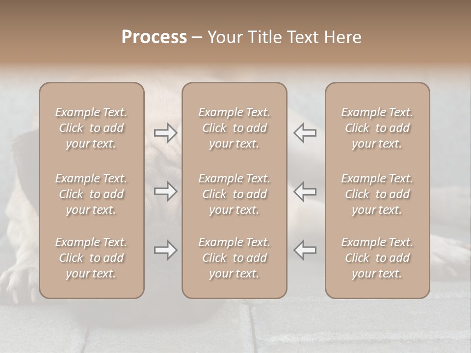 Domestic One Sitting PowerPoint Template