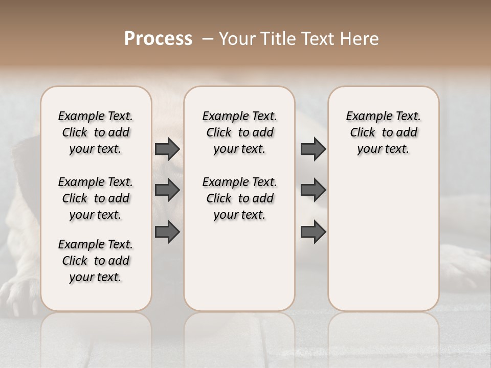 Domestic One Sitting PowerPoint Template