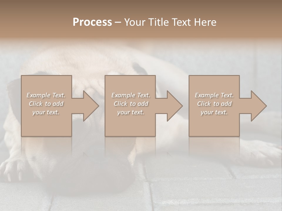 Domestic One Sitting PowerPoint Template
