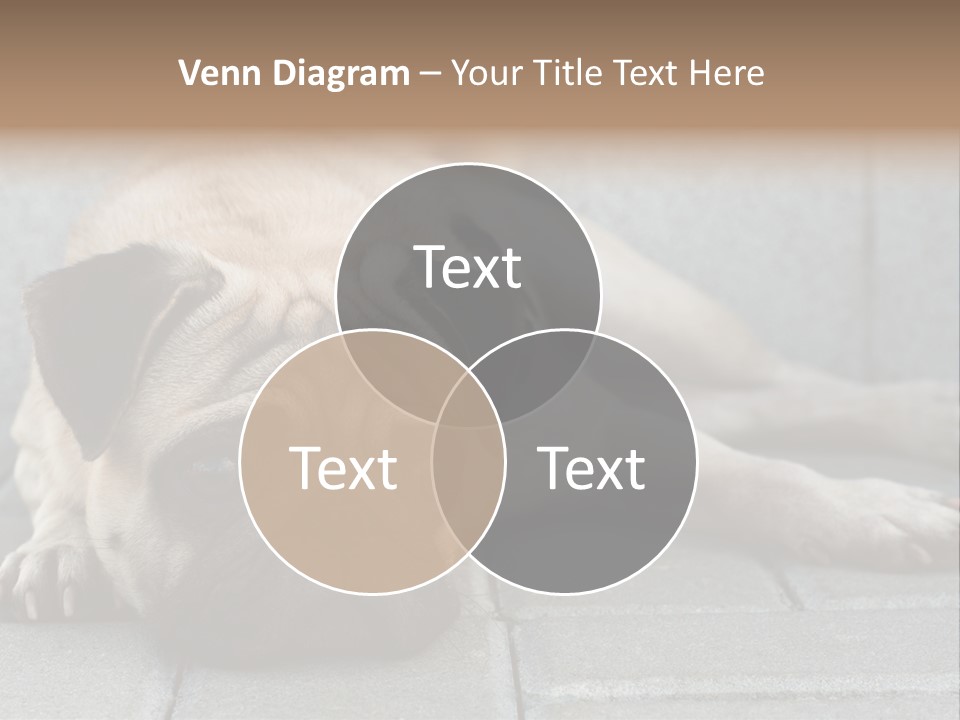 Domestic One Sitting PowerPoint Template