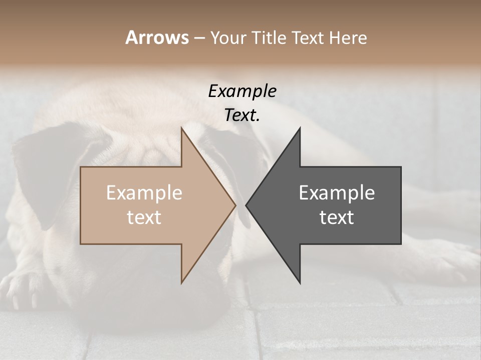 Domestic One Sitting PowerPoint Template