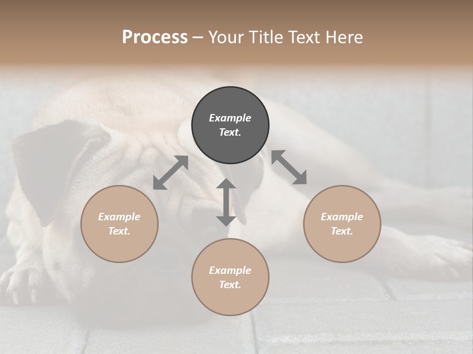 Domestic One Sitting PowerPoint Template