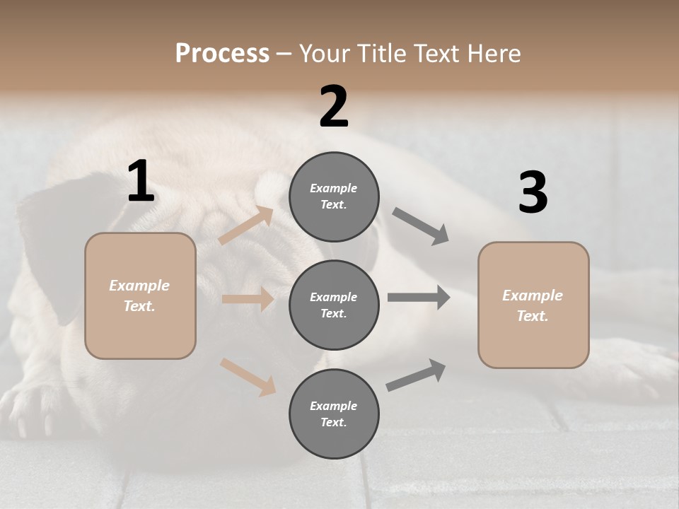 Domestic One Sitting PowerPoint Template