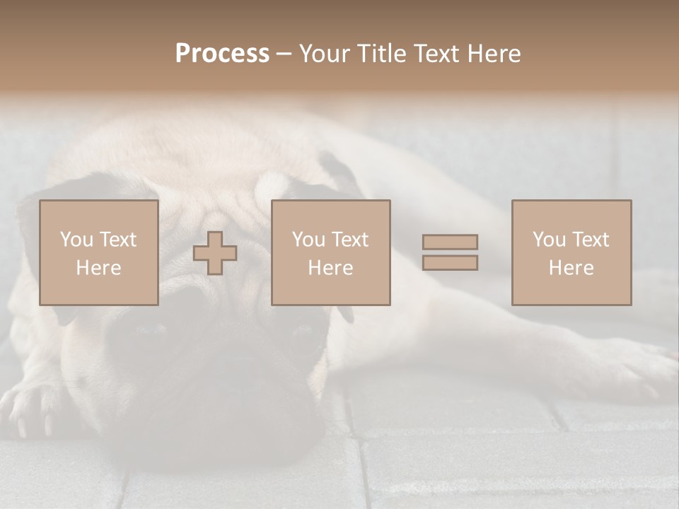 Domestic One Sitting PowerPoint Template