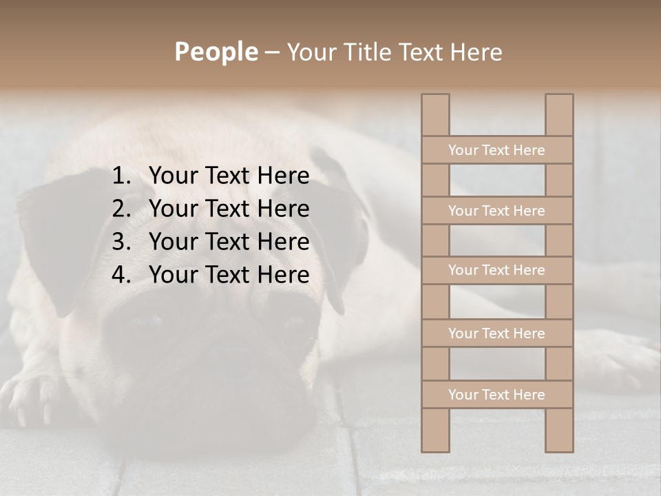 Domestic One Sitting PowerPoint Template