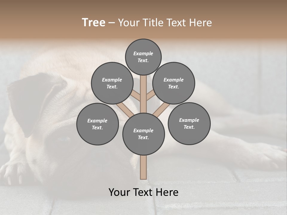Domestic One Sitting PowerPoint Template