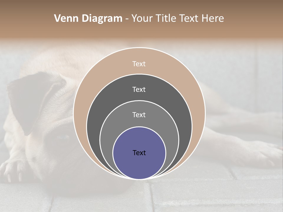 Domestic One Sitting PowerPoint Template