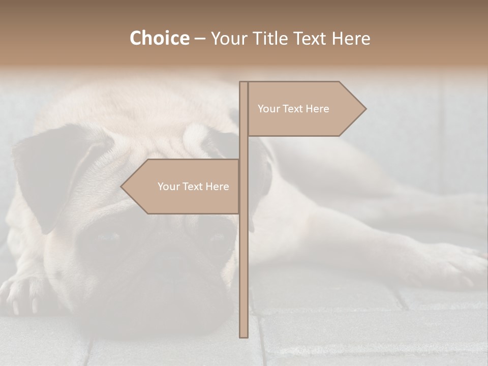 Domestic One Sitting PowerPoint Template
