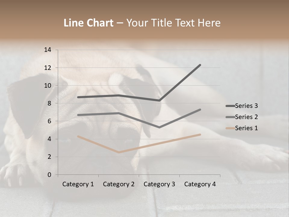 Domestic One Sitting PowerPoint Template
