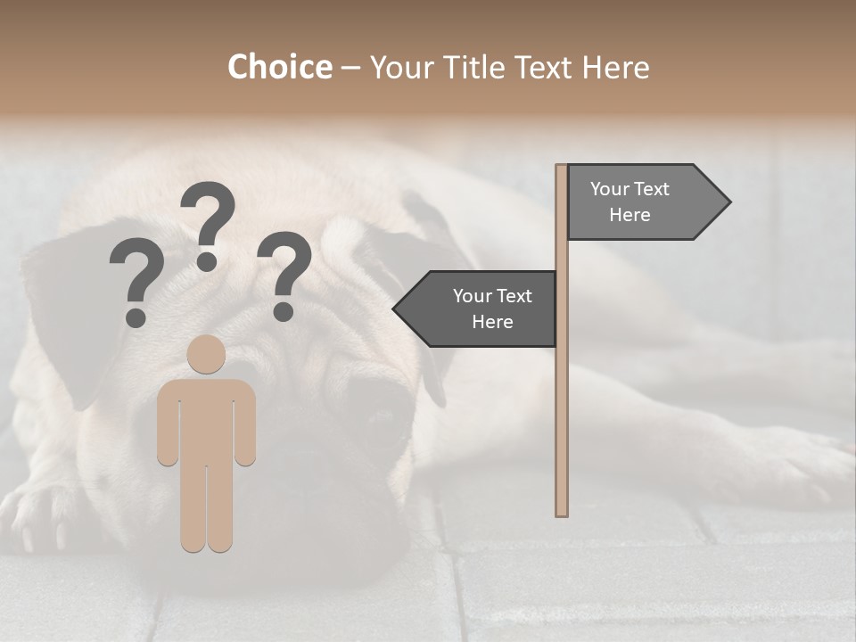 Domestic One Sitting PowerPoint Template