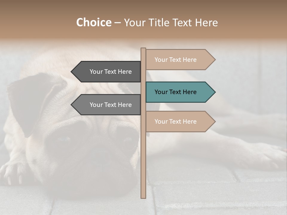 Domestic One Sitting PowerPoint Template
