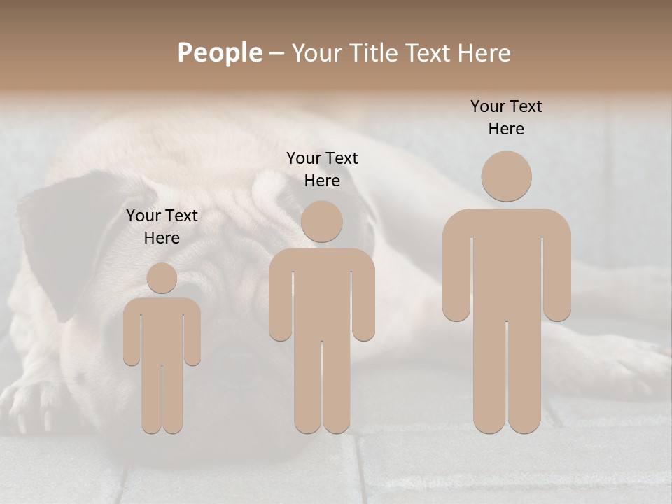 Domestic One Sitting PowerPoint Template