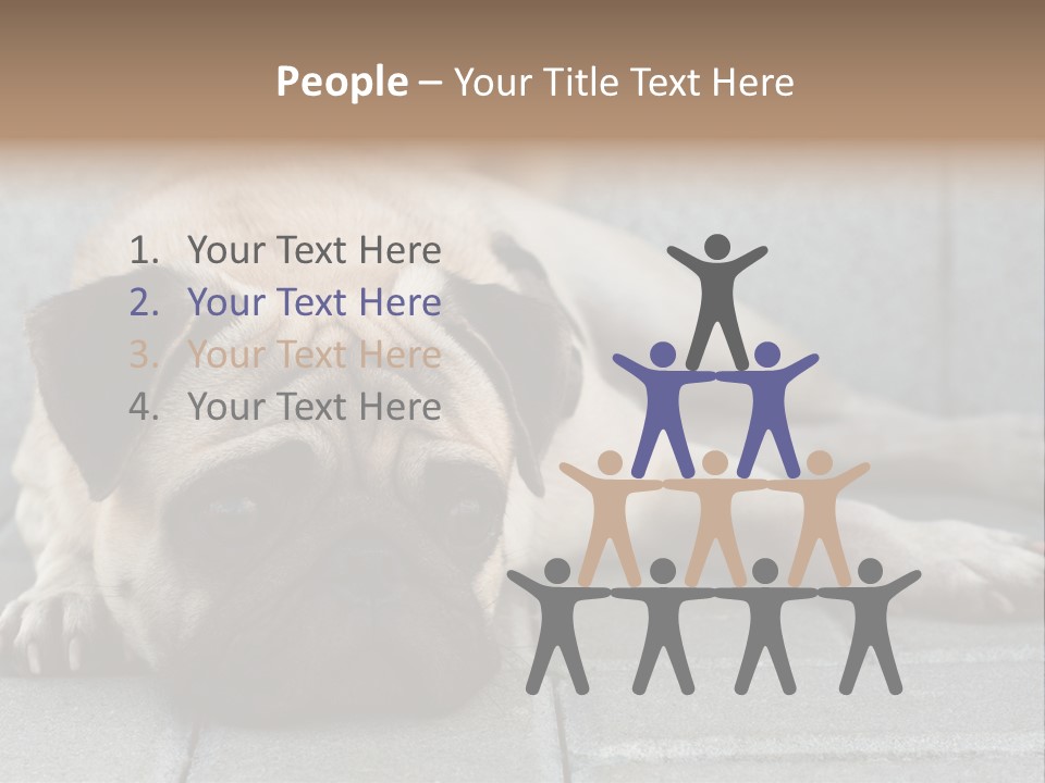 Domestic One Sitting PowerPoint Template