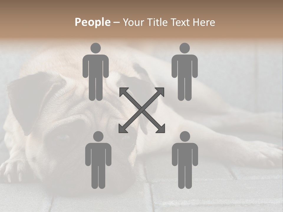 Domestic One Sitting PowerPoint Template