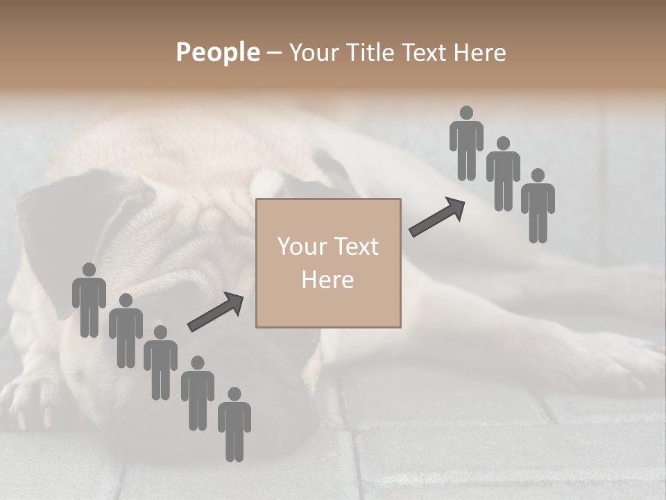 Domestic One Sitting PowerPoint Template