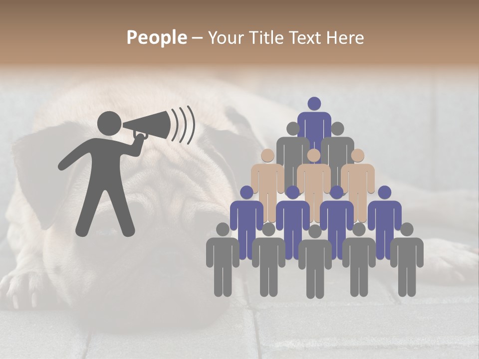 Domestic One Sitting PowerPoint Template