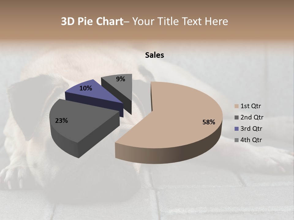 Domestic One Sitting PowerPoint Template