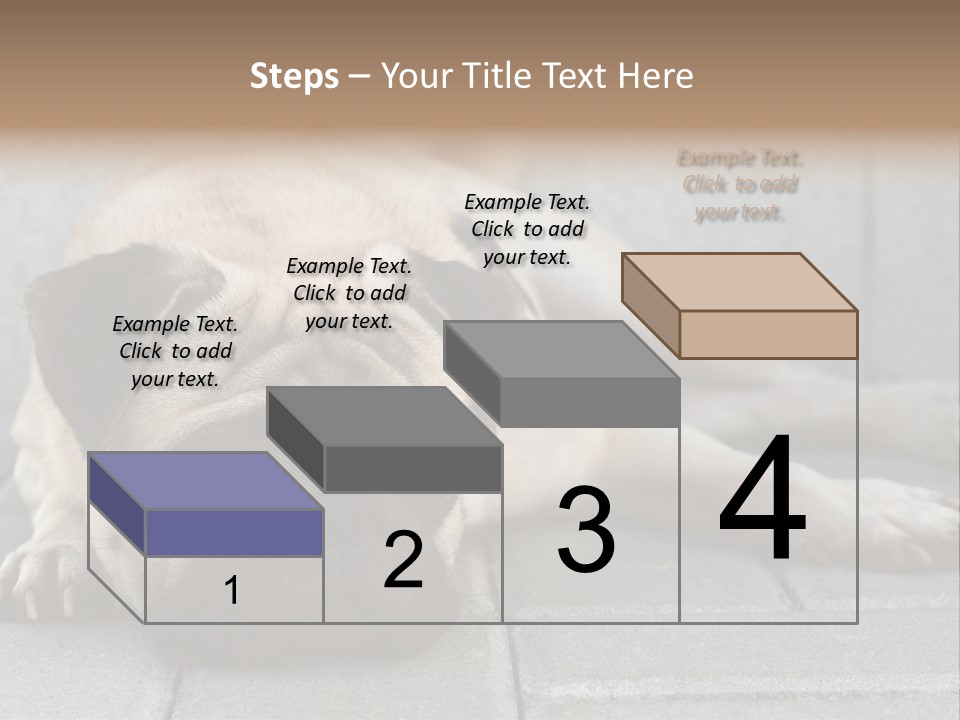 Domestic One Sitting PowerPoint Template
