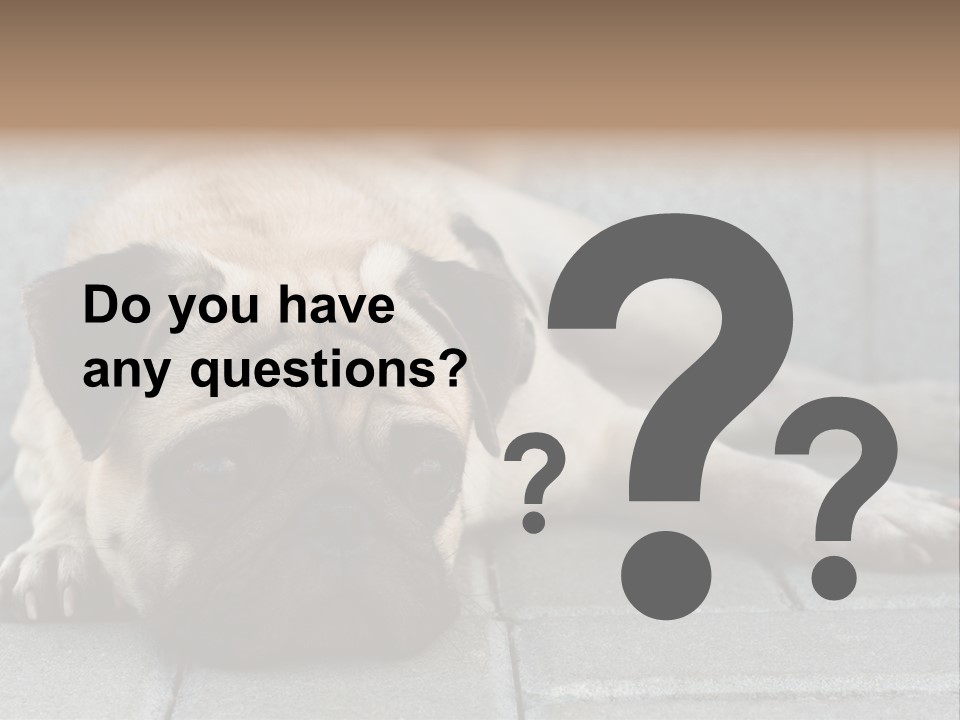 Domestic One Sitting PowerPoint Template