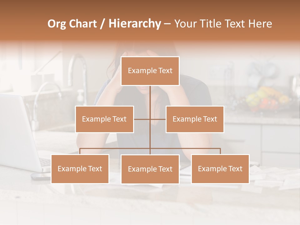 Shelves Sedate Home PowerPoint Template