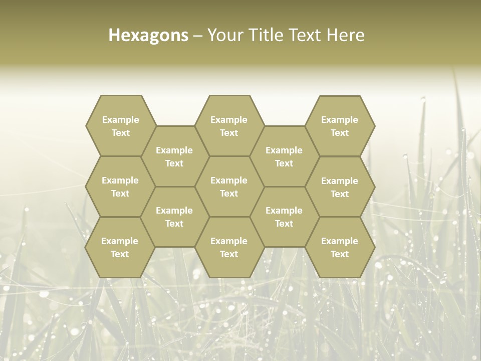 Background Summer Texture PowerPoint Template