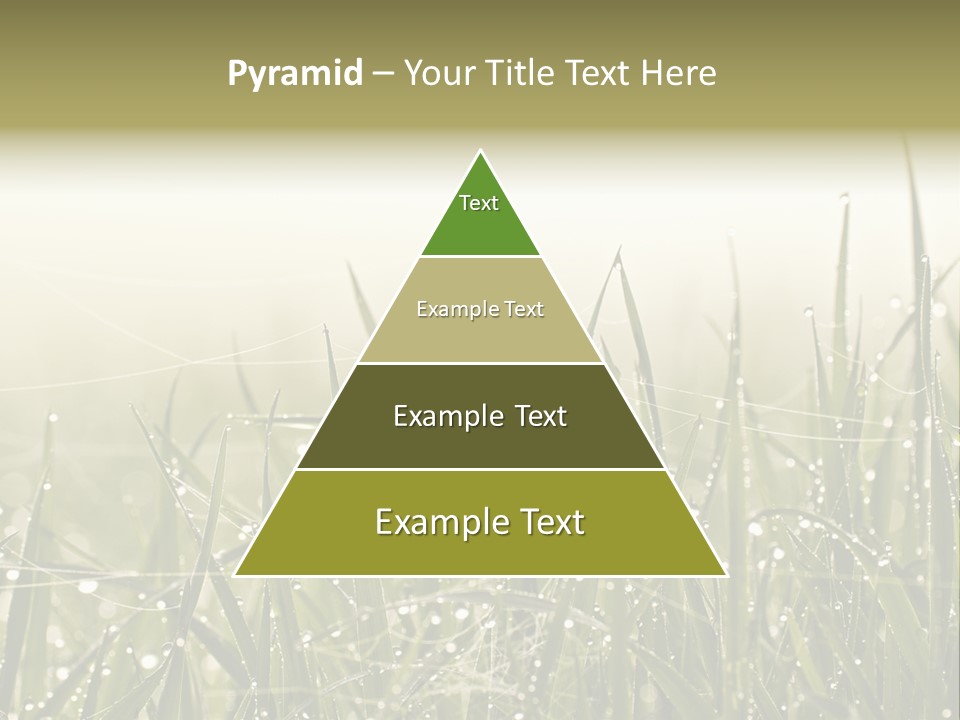 Background Summer Texture PowerPoint Template