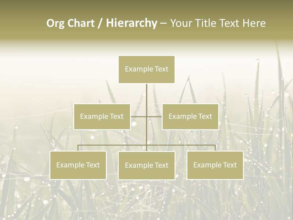 Background Summer Texture PowerPoint Template