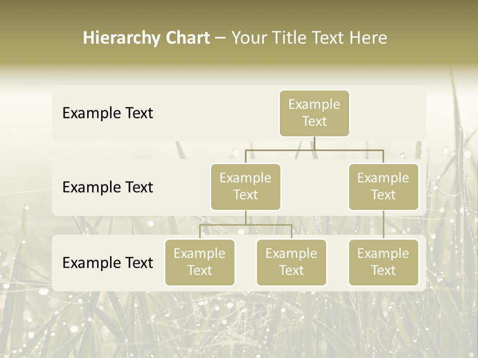 Background Summer Texture PowerPoint Template