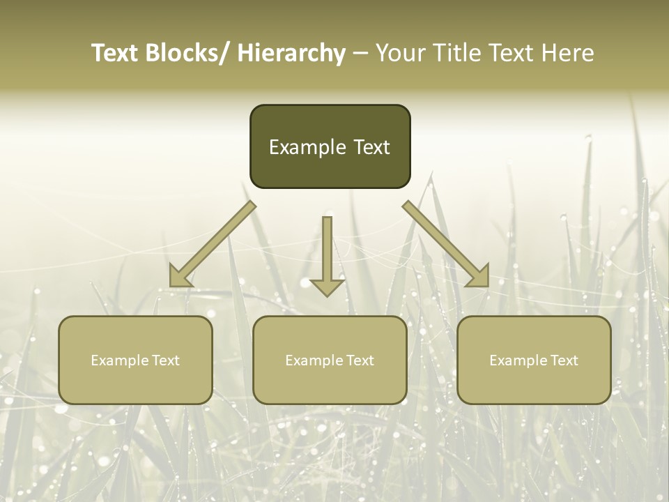 Background Summer Texture PowerPoint Template