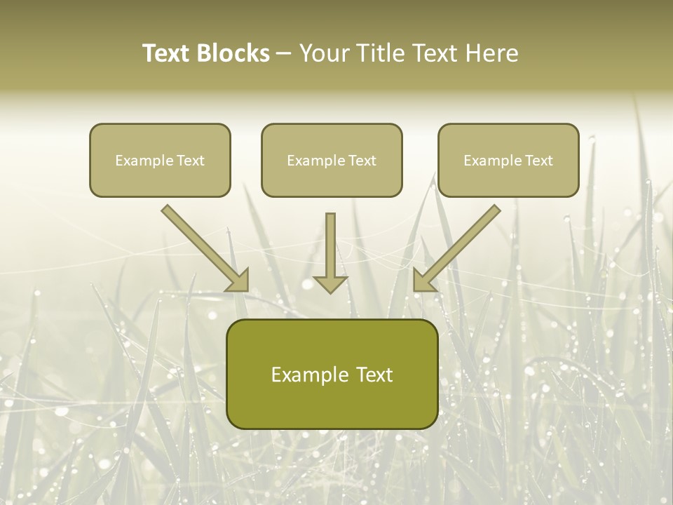 Background Summer Texture PowerPoint Template