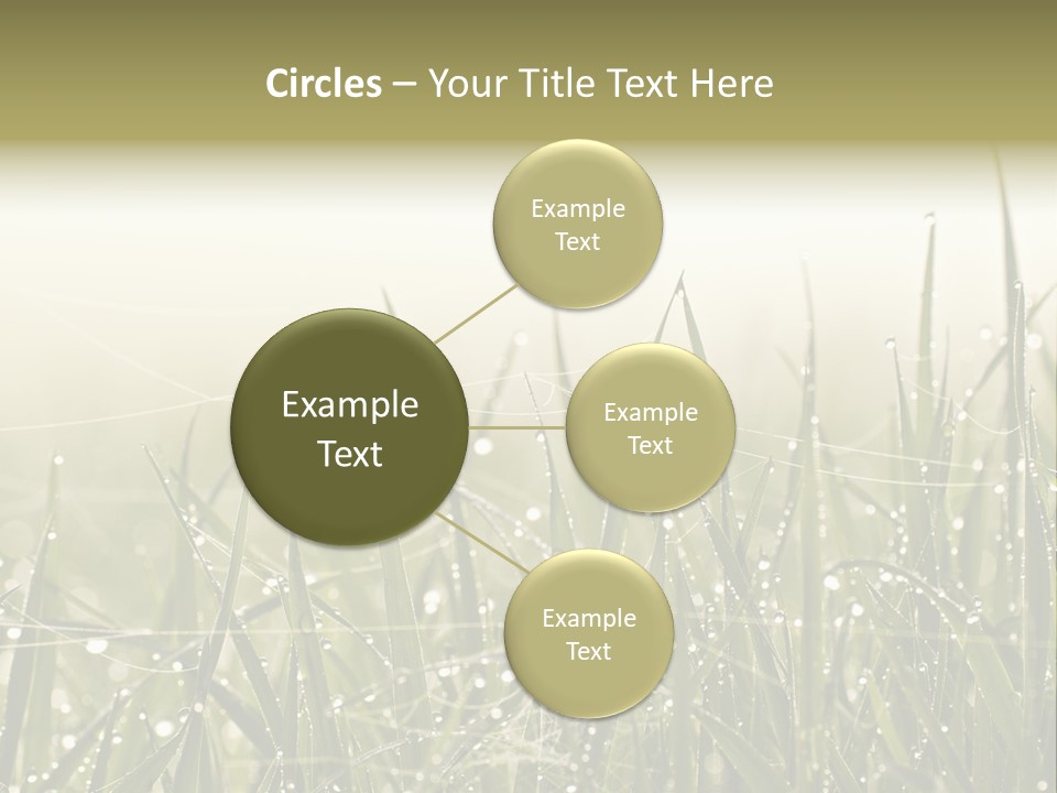 Background Summer Texture PowerPoint Template