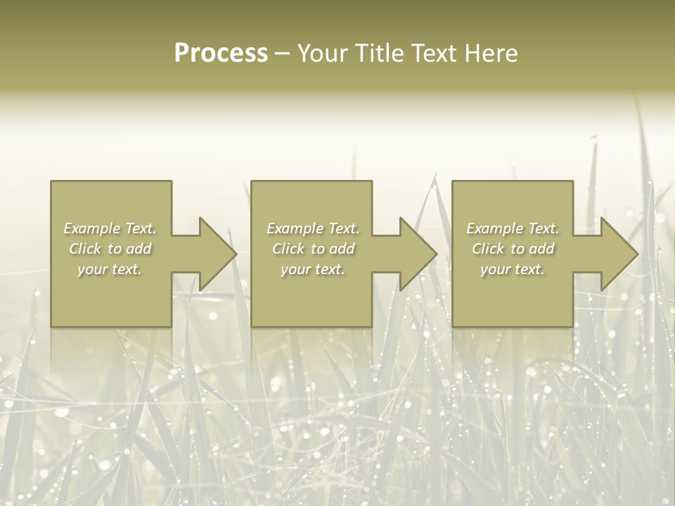 Background Summer Texture PowerPoint Template