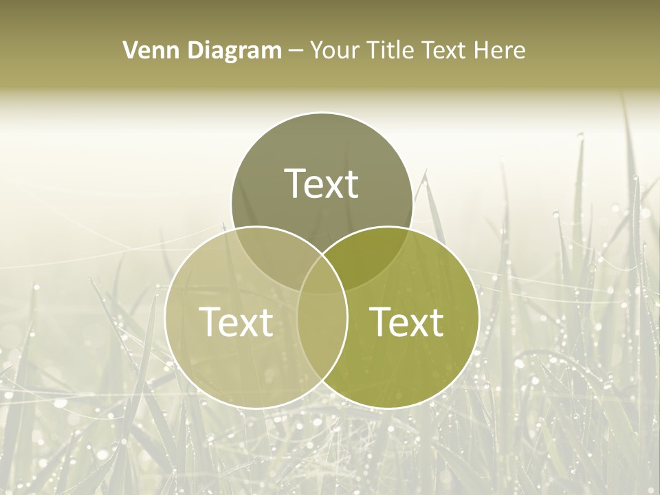 Background Summer Texture PowerPoint Template