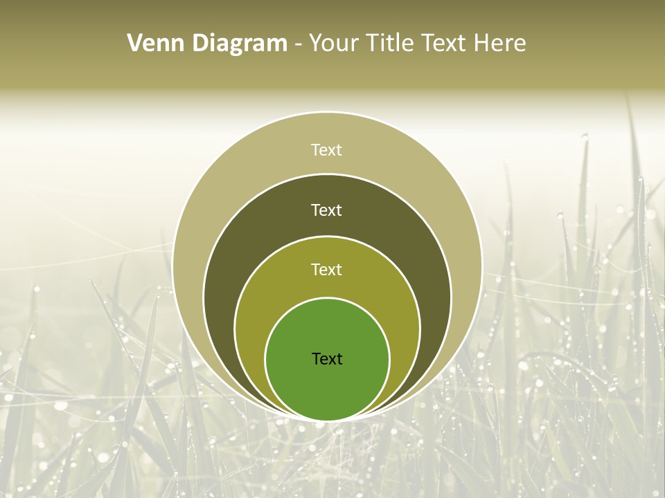 Background Summer Texture PowerPoint Template