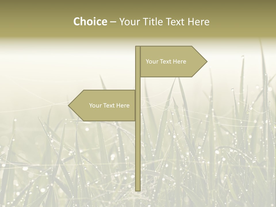 Background Summer Texture PowerPoint Template