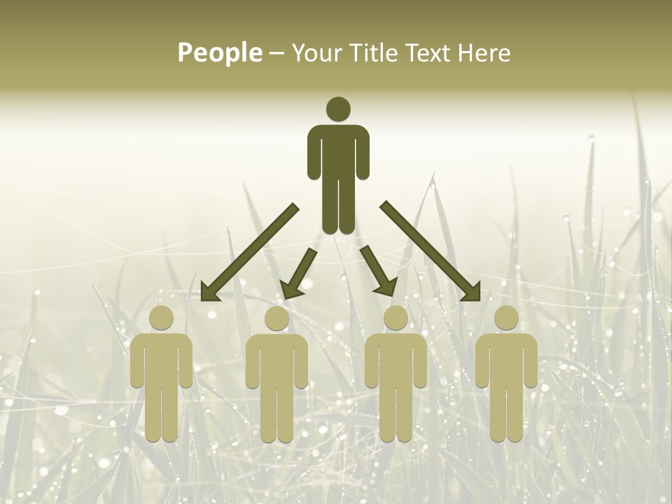 Background Summer Texture PowerPoint Template