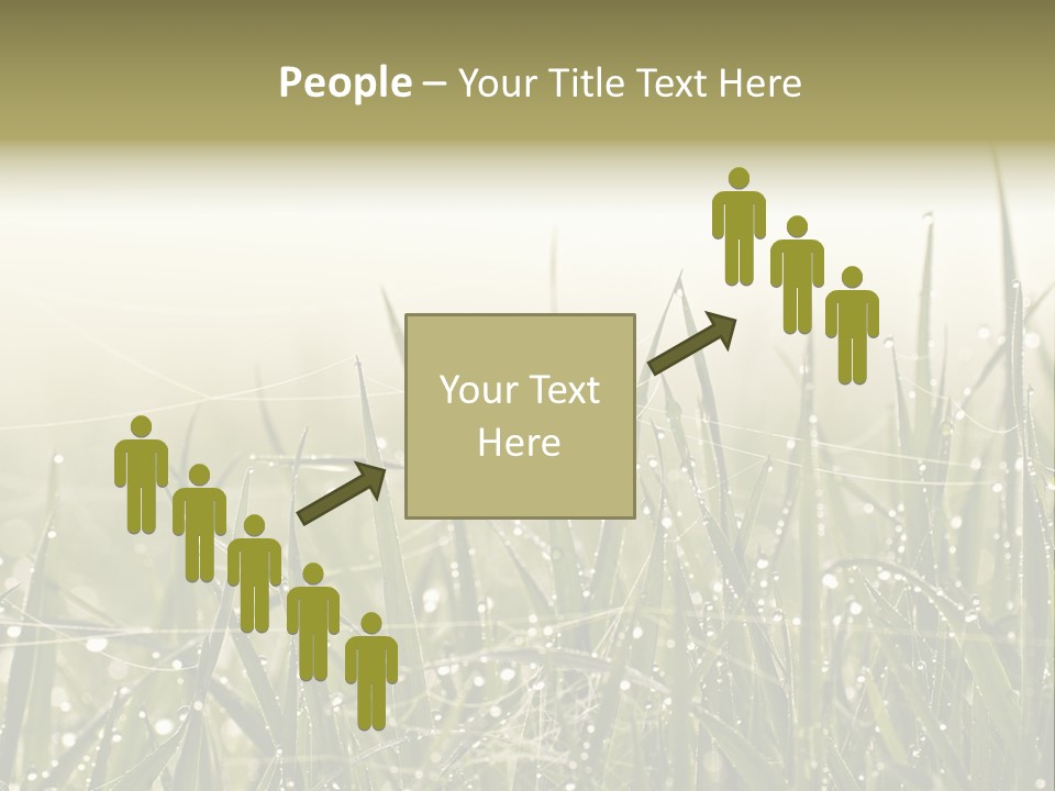 Background Summer Texture PowerPoint Template