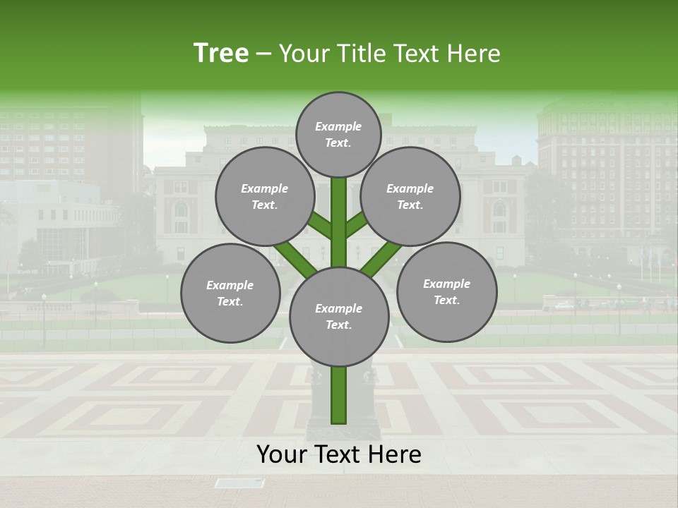 York American President PowerPoint Template