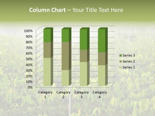 Vegetable Plant Sprinkler PowerPoint Template