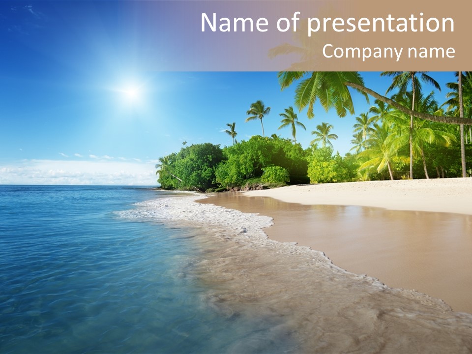 Dominican Tropic Coconut PowerPoint Template