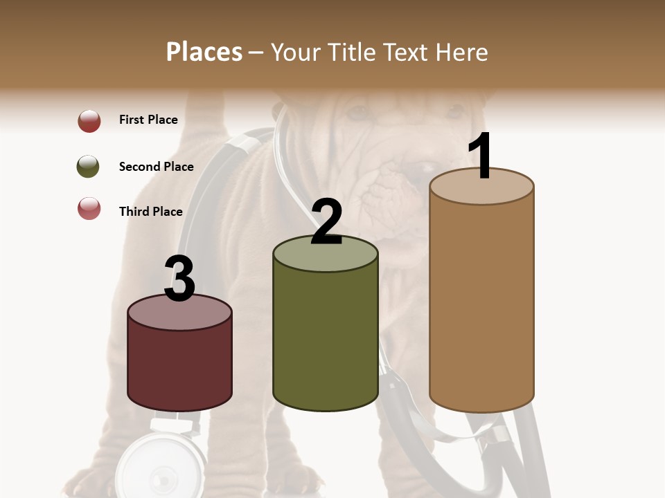 Friend Domestic Health PowerPoint Template