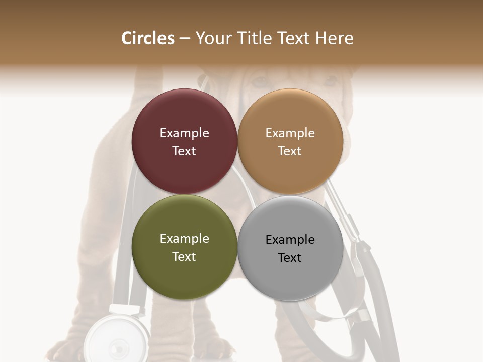 Friend Domestic Health PowerPoint Template