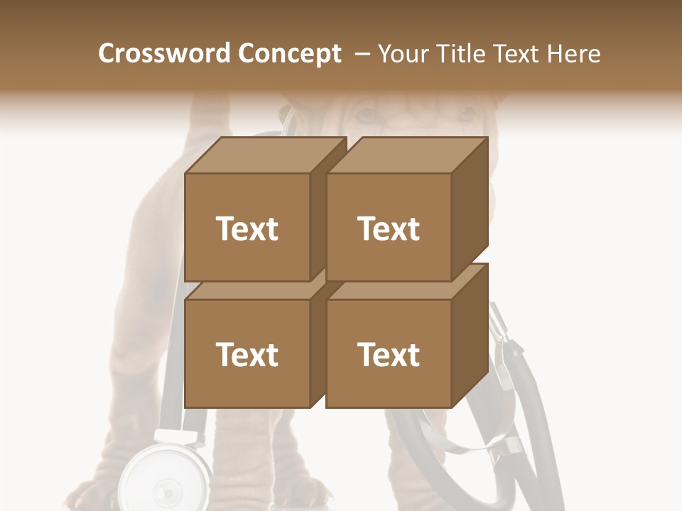 Friend Domestic Health PowerPoint Template