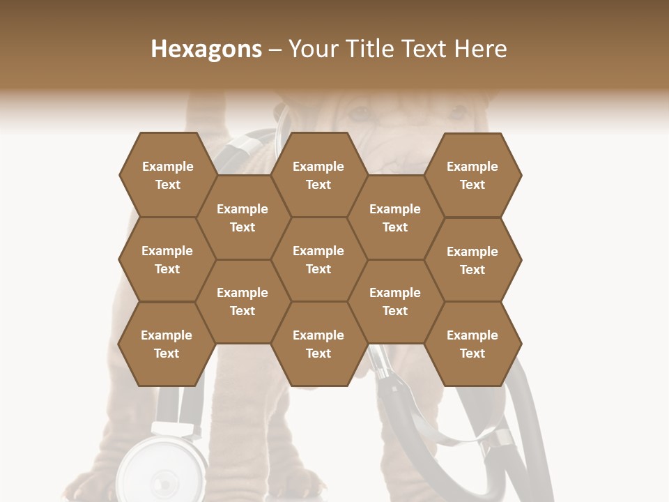 Friend Domestic Health PowerPoint Template